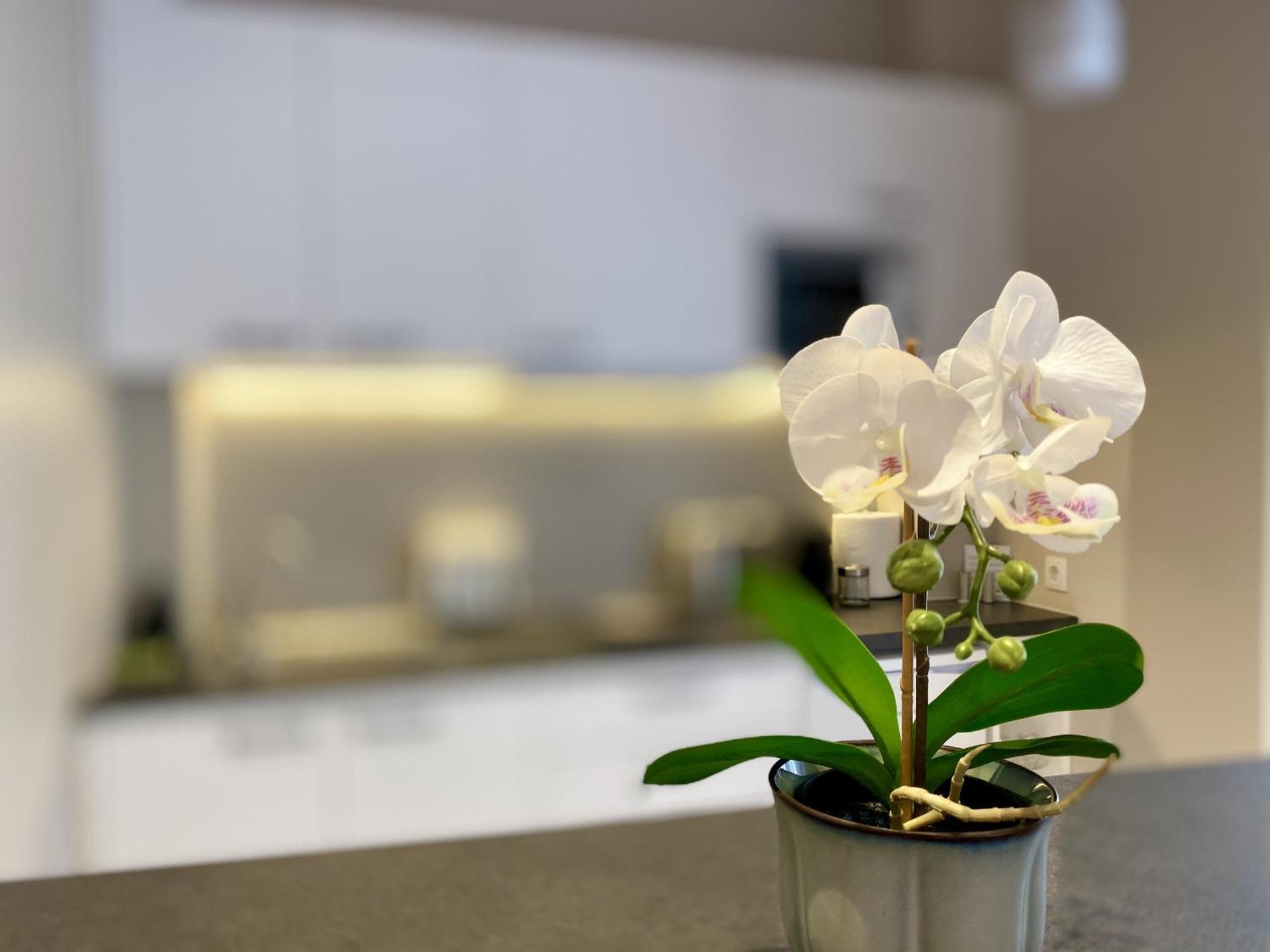 Luxury Studio In Historical Center, Syntagma-Plaka أثينا المظهر الخارجي الصورة